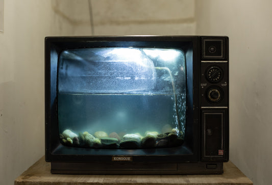 5 Facts About E-waste and 5 Things You Can Do About It