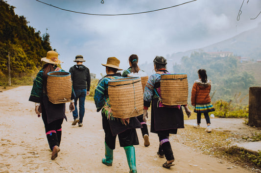 How Indigenous Populations Encourage Sustainable Development
