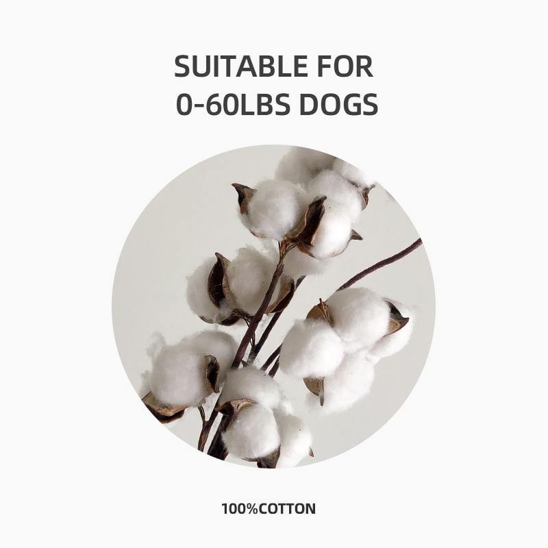 Organic Cotton Dog Toy Set - Ecoday