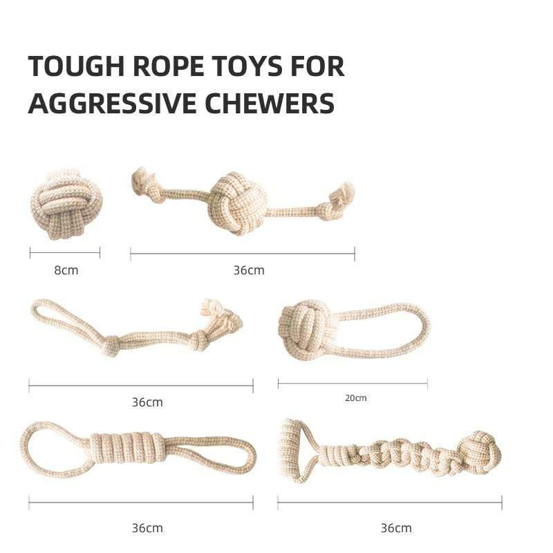 Organic Cotton Dog Toy Set - Ecoday