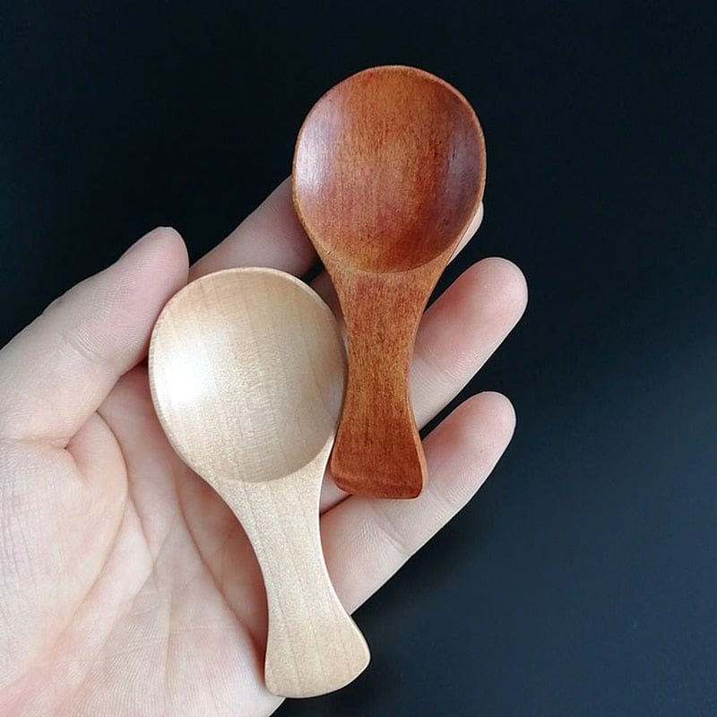 Mini Wooden Condiment Spoons - Pack of 4