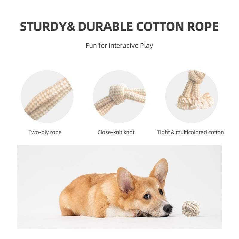 Organic Cotton Dog Toy Set - Ecoday