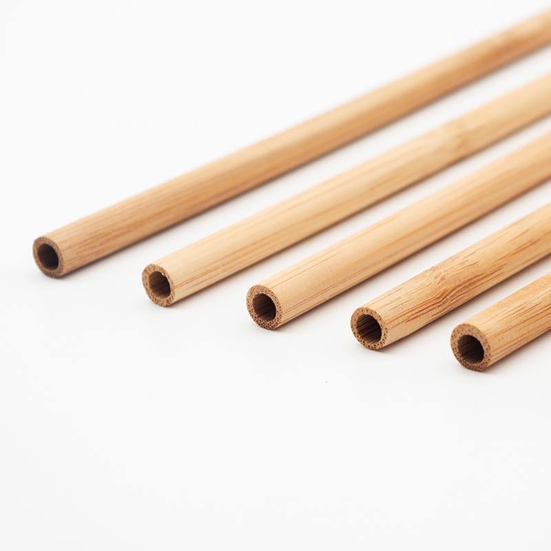 Reusable Bamboo Straws - Pack of 12 - Ecoday