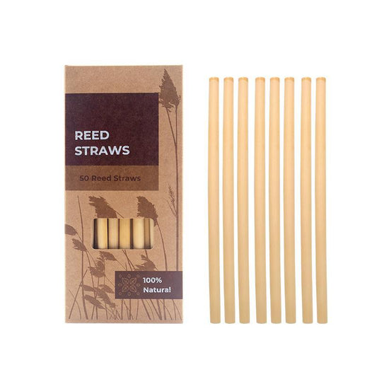 Natural Reed Straws - Pack of 50 - Ecoday