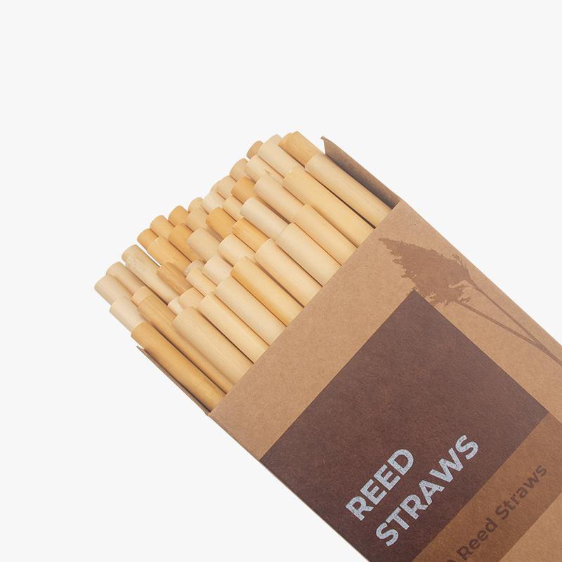 Natural Reed Straws - Pack of 50 - Ecoday