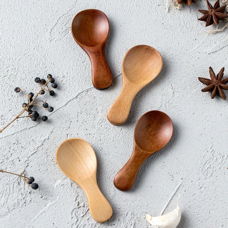 Mini Wooden Condiment Spoons - Pack of 4